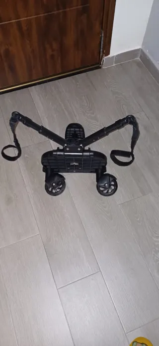 Carro de paseo y patín para hermano mayor