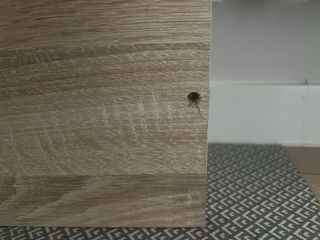 Escritorio con cajones madera y blanco