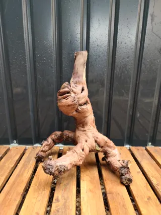 Raíz/tronco Decoración acuario OFERTA SOLO HOY!