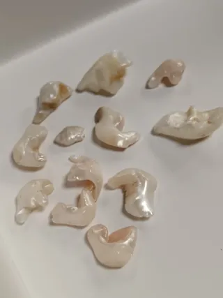 Madreperla naturale pezzi unici