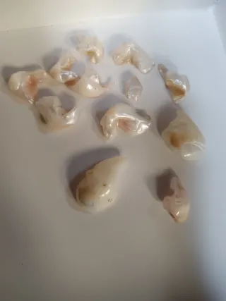 Madreperla naturale pezzi unici