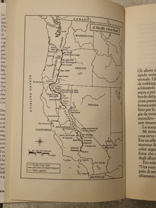 libro Wild di Cheryl Strayed