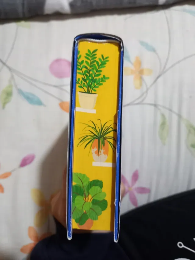 Out on a limb. Un amore in bilico. La bibliotec...