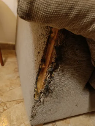 Sofá de dos plazas REGALO URGENTE