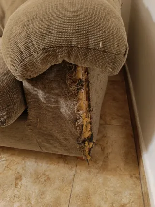 Sofá de dos plazas REGALO URGENTE