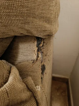 Sofá de dos plazas REGALO URGENTE