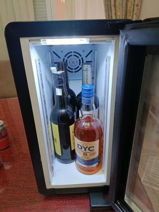 Nevera pequeña Efficold