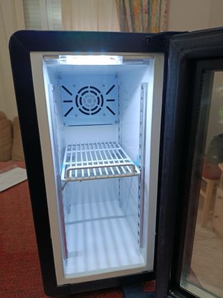 Nevera pequeña Efficold