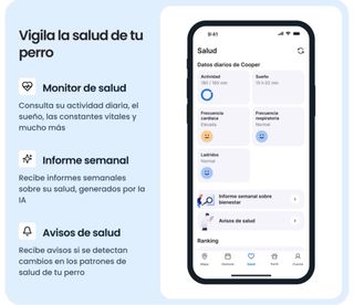 Localizador GPS TRACTIVE, original para perros.