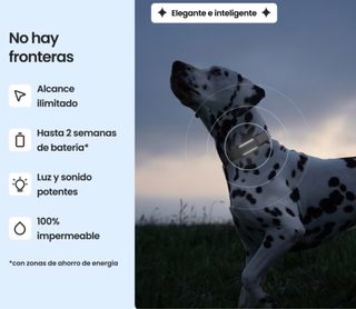 Localizador GPS TRACTIVE, original para perros.