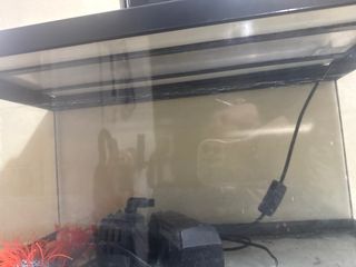 Pecera negra y transparente