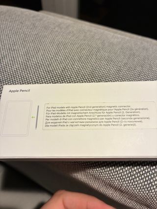 Apple Pencil 2ª Gen