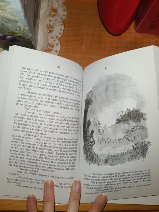 Danny, el campeón del mundo