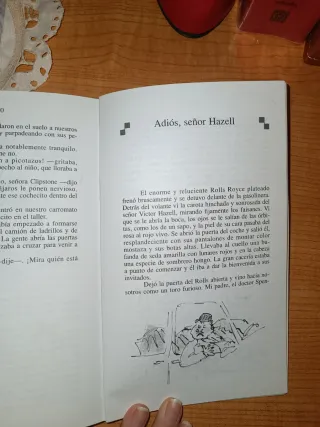 Danny, el campeón del mundo