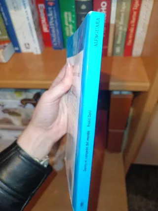 Danny, el campeón del mundo