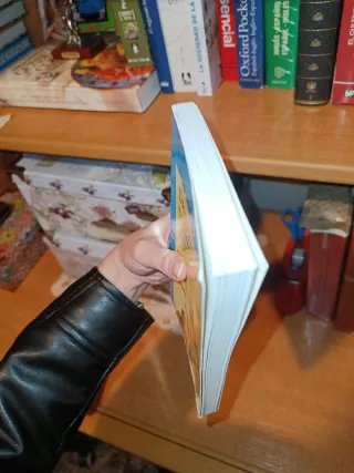 Danny, el campeón del mundo