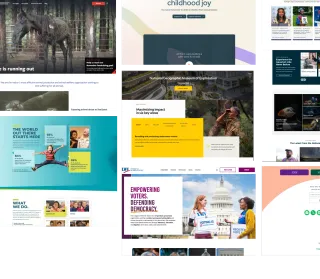 Desarrollador Web y Software Profesional