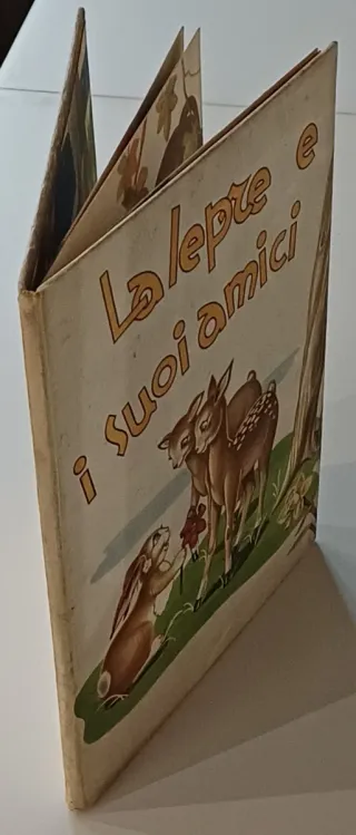 La lepre e i suoi amici,Bona Sancipriano Rabaglino