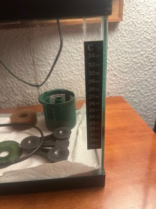 Nano acuario 16L con luz y depuradora