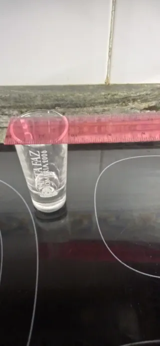 Vaso SANTA FAZ Romeria 2006