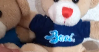 Coppia Orsetti Peluche Cuore