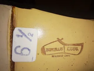 Zapatos de flamenco ante