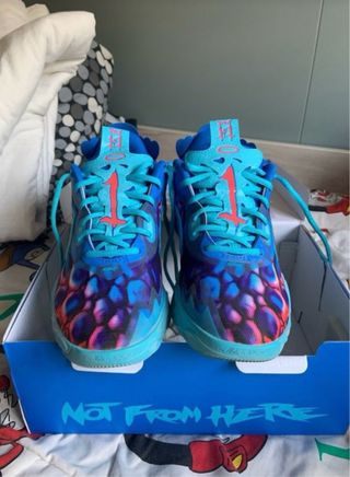 Zapatillas de baloncesto