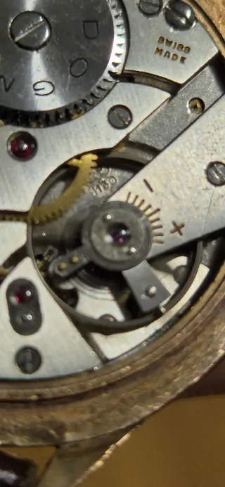 Reloj DOGMA PRIMA 21