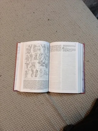 Diccionario Ilustrado Latín. Latino-Español/ Es...