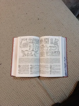 Diccionario Ilustrado Latín. Latino-Español/ Es...