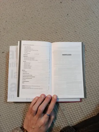 Diccionario Ilustrado Latín. Latino-Español/ Es...