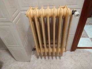 Radiadores (10) de Hierro Fundido Beige