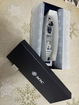 Modellino MSC World Europa