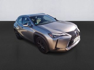 Lexus UX 250h Business 2WD 135 kW (184 CV)