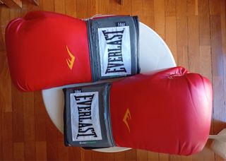 Guantes de Boxeo Everlast 14oz