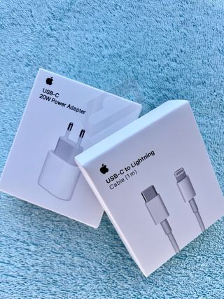 Caricabatterie Apple completo con cavo Lightning in regalo