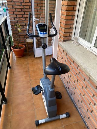 Bicicleta Estática Gris