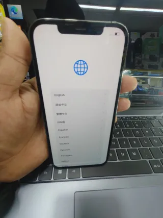 iPhone 12 Pro Max 256GB Grigio Siderale