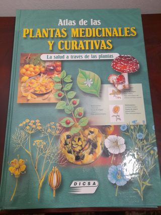 Atlas de las plantas medicinales y curativas – Sal