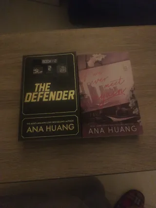 The defender If we Ever meet again