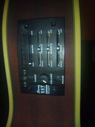 Guitarra Acústica Ibanez con Estuche