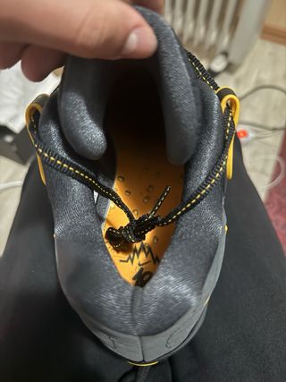 Zapatillas Baloncesto Nike Negro/Dorado