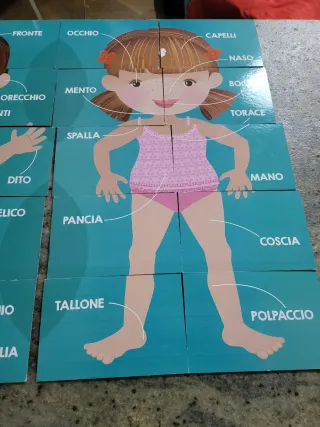 Flashcards Il Corpo Umano 3-6 anni