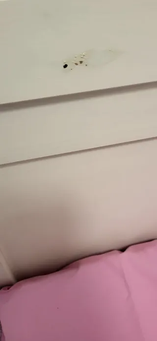 Cama extensible IKEA Sundvik, regalo sabanas!