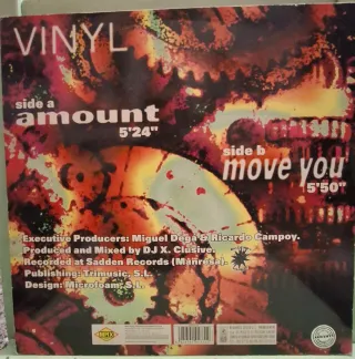 Vinilo Vinyl - Amount / Move You
