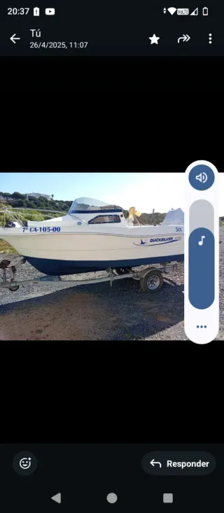 Quicksilver 450 con motor Suzuki 60