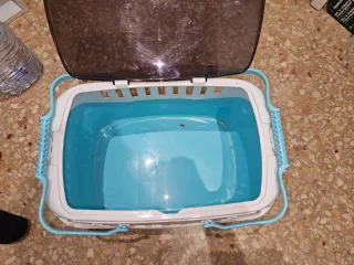 Transportín para gato blanco y turquesa