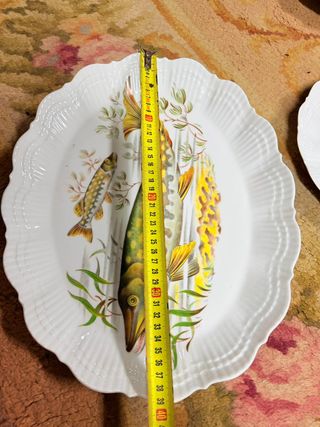 Vajilla compuesta por 12 platos y 1 fuente