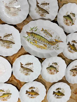 Vajilla compuesta por 12 platos y 1 fuente