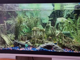 Pecera con decoración y accesorios